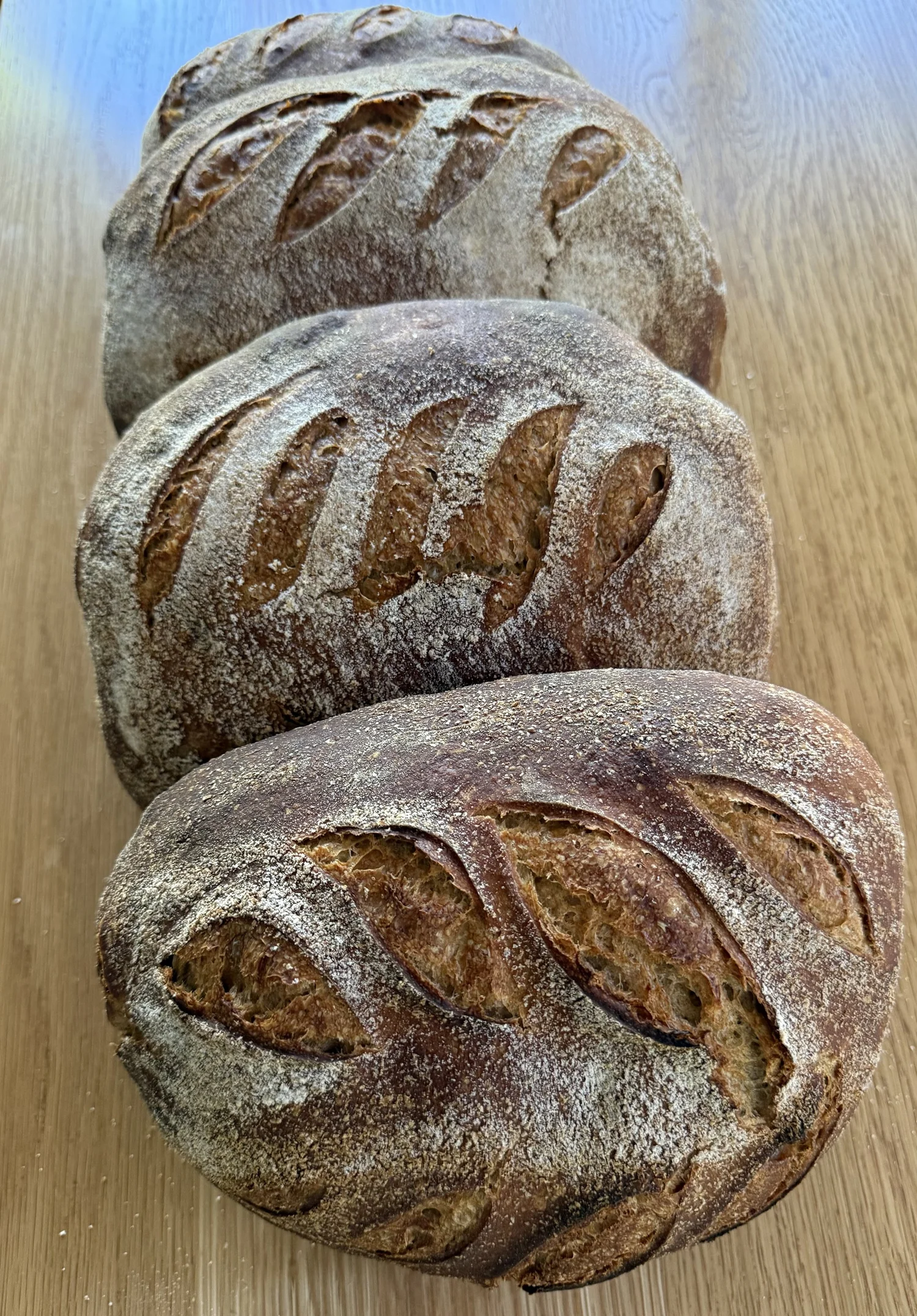 Three flour-dusted artisan sourdough loaves